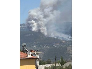 Antalya’nın Kaş ilçesinde orman yangını
