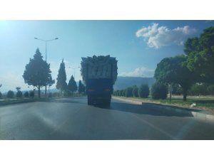 Kahramanmaraş’ta Trafikte Tehlikeli Seyir
