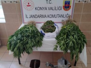 Konya’da Jandarmadan Uyuşturucu Operasyonu