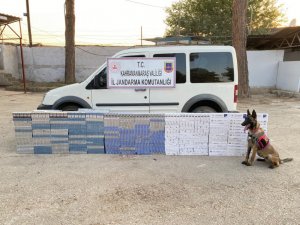 Kahramanmaraş’ta Kaçak Sigara Operasyonu