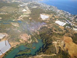 Alanya’da çıkan yangında 1 hektarlık orman arazisi yandı