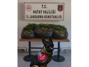 Hatay’da Uyuşturucu Operasyonu