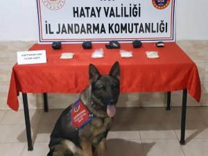 Hatay’da 12 Bin Adet Uyuşturucu Hap Ele Geçirildi
