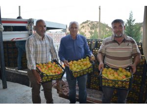 Korkuteli’de hasadına başlanan kayısının ilk ihracatı gerçekleştirildi