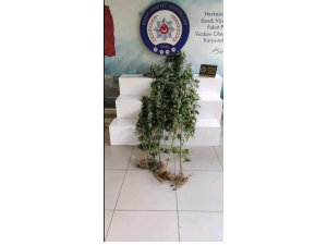 Hatay’da Uyuşturucu Operasyonu
