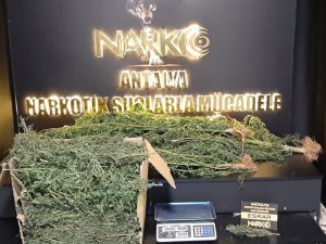 Seraya esrar operasyonu