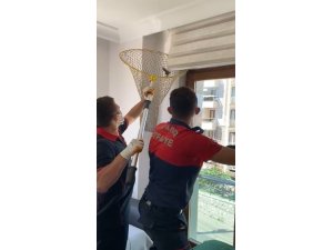 Isparta’da Eve Giren Yarasayı İtfaiye Çıkardı