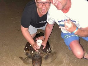 Rus turistlerin caretta carettaya eziyeti cezasız kalmadı