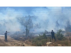 Manavgat’ta çıkan yangında 5 dönüm ormanlık alan zarar gördü