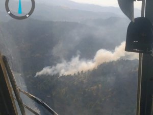 Kahramanmaraş’ta Orman Yangını