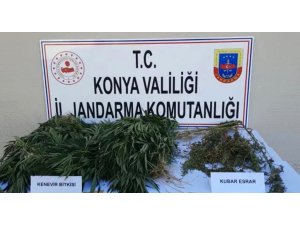 Jasat’tan Yasa Dışı Kenevir Ekenlere Operasyon