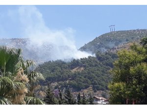 Hatay’da Orman Yangını