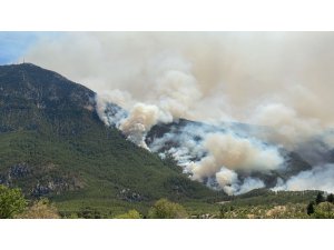 Akseki’de orman yangını devam ediyor