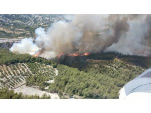Hatay’da Orman Yangınına Müdahale Ediliyor