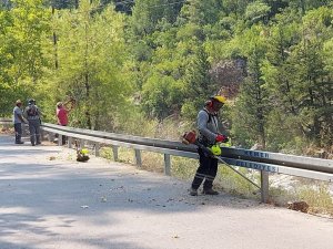 Kemer’de yangın ihtimaline karşı önlemler alınıyor