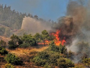 Kahramanmaraş’ta Orman Yangını