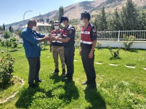 Jandarmanın Bulduğu Yaralı Atmaca Tedavi Altına Alındı