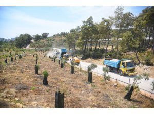 Alanya Belediyesi’nden batı mahallerine asfalt çalışması