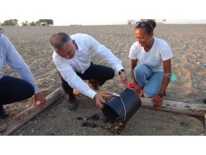 Deniz Kaplumbağaları Vali Yazıcı’nın elleriyle denizle buluştu