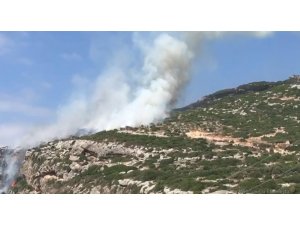 Hatay’da Makilik Alanda Yangın