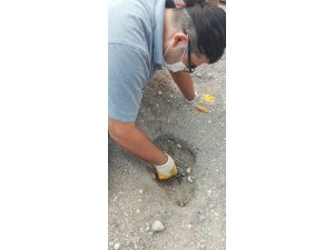 Kemer’de caretta carettalar denizle buluştu