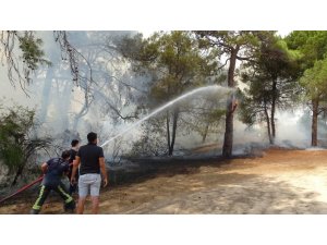 Sorgun Çamlığında çıkan yangında 1 dönüm ormanlık alan kül oldu