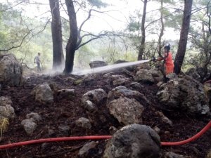 Kemer’de çıkan orman yangını büyümeden söndürüldü