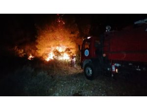 Manavgat’ta orman yangını