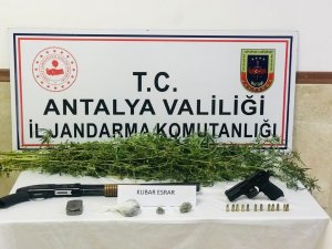 Manavgat’ta uyuşturucu operasyonu: 1 gözaltı