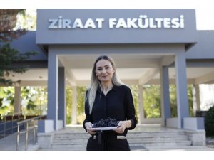 Antalya’nın Yüksek Rakımlarında Üretilen ’Süper Meyve’ Aronya, Pandemi Sürecinin Gözdesi Oldu