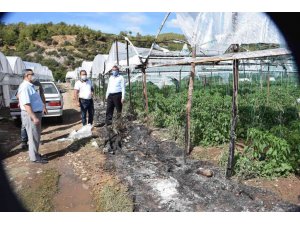 Kumluca’da seranın plastik örtüsü yandı