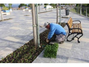 Manavgat Türkbeleni’nde 28 bin çiçek toprakla buluştu