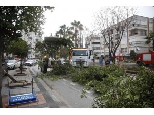 Büyükşehir, fırtına sebebiyle kent genelinde teyakkuza geçti