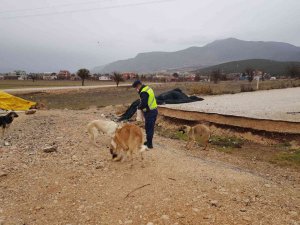 Kokuteli’de jandarmadan anlamlı davranış