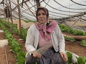 Aksu’da çıkan hortum 70 dekar ekili alana zarar verdi