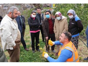 Büyükşehir’den ilçelerde budama ve aşı eğitimi