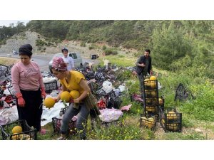 Sebze yüklü kamyon yan yattı