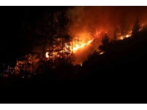 Alanya’da orman yangınında 3 dekar alan zarar gördü
