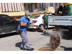 Sinek ve haşereyle mücadele sürüyor