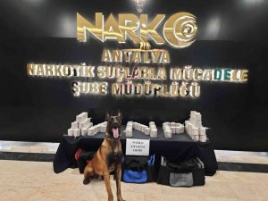Antalya’da bir TIR’da 50 kilo uyuşturucu ele geçirildi