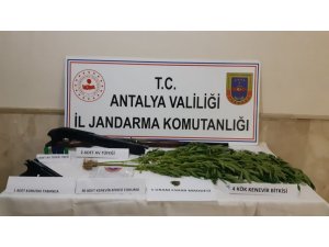 Jandarmadan Finike’de uyuşturucu operasyonu: 1 gözaltı