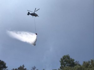 Antalya’da orman yangını