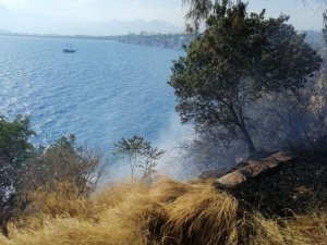 Falezlerde çalılık yangını