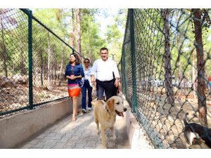 Alanya Belediyesi Köpek Bahçesi ve Doğal Yaşam Alanı açıldı
