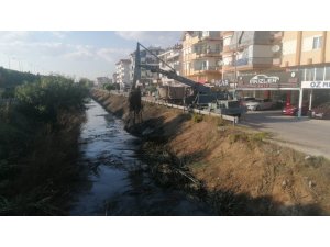 Balık ölümleriyle gündeme gelen kanal temizleniyor