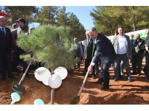 30 dönümlük alanda 3 bin 500  adet kızılçam, mazı ve fıstık fidanı dikildi