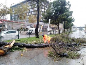 Büyükşehirin fırtına mesaisi