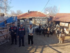 Burdur’da kaybolan 70 küçükbaş hayvan, jandarma ekipleri tarafından bulundu