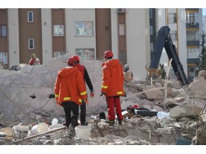 Adana’da arama-kurtarma köpekleri çalışmalara katkı sağlıyor