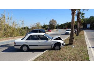 Alkolden Ehliyeti İptal Edilen Sürücü Otomobille Palmiyeye Çarptı